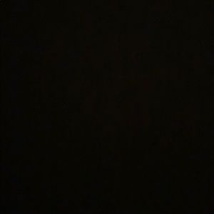 Meet your Posher, Patience